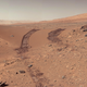 Image for article titled The Key to Colonizing Mars Could Be These Tiny Green Microbes